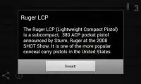 Ruger LCP Screen Shot 2