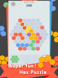 Hex Puzzle - Super fun Screen Shot 0