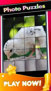 Cute Chick Pictures-Baby Chickens Puzzle Game Screen Shot 1