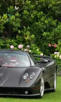 Jigsaw Puzzles Pagani Zonda Screen Shot 0