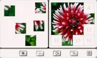 Acho que o Flor: Telha de Quebra-Cabeça Screen Shot 4