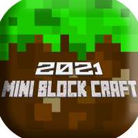 Mini Block Craft 2021