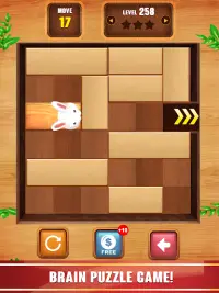 Unblock  Puzzle Wood Game Screen Shot 4