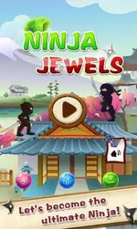 Ninja Jewels Screen Shot 0