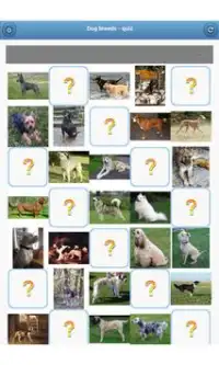 Dog breeds - quiz Screen Shot 8