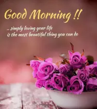 Good morning Images Gifs, Flowers Roses wallpapers Screen Shot 5