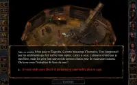 Baldur's Gate Enhanced Edition Screen Shot 8