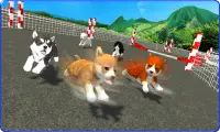 Cute Puppy Dog Racing Sim 2017 Screen Shot 2