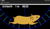 Hamsterrad Spinner Screen Shot 2