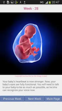 Pregnancy Tracker Screen Shot 3
