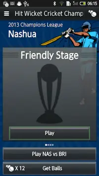 Hit Wicket Cricket - Champions League Game Screen Shot 7