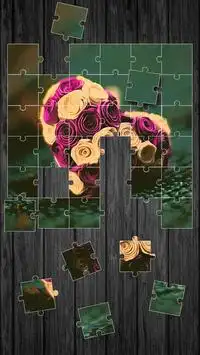 Roses Jeux De Puzzle Screen Shot 2