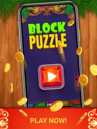 Block Puzzle - Star Gem Screen Shot 7