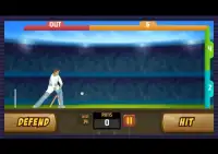 Play-On Cricket Screen Shot 1