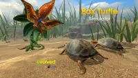 Box Turtle Simulator Screen Shot 1