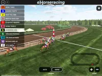 eHorseracing.com Race Viewer Screen Shot 7