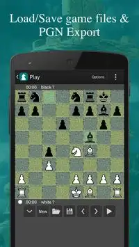 Super Chess Screen Shot 7