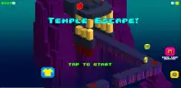 Temple Escape Screen Shot 8