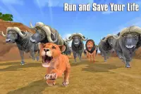 The Lion Simulator: Animal Family Game Screen Shot 7