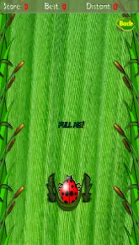 beetle game 2015 Screen Shot 3