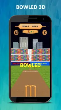 Bowled 3D - Cricket Game Screen Shot 5