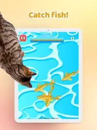 Games for Cat－Toy Mouse & Fish Screen Shot 9