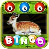 Safari Animals Bingo Slots