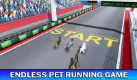 Pet Dog Run Simulator - Greyhound Racing Game Screen Shot 4