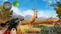 Wild Dino Hunting: Animal Hunt Screen Shot 4