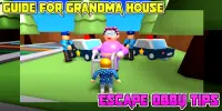 Guide For Grandma House Escape Obby Tips Screen Shot 0