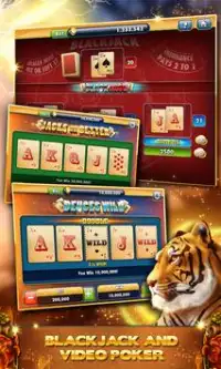 Cats Dogs Slots&Slot machines Screen Shot 14