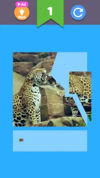 Animal Puzzle for Kids : Offline Jigsaw Screen Shot 5