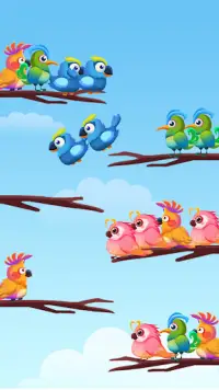Bird Color Sort : Puzzle Game Screen Shot 0