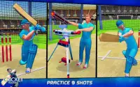 T20 크리켓 교육 : 그물 연습 크리켓 경기 Screen Shot 14