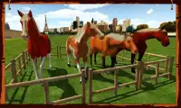 Horse Show Jumping Challenge Screen Shot 2