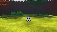 Soccer Juggler 3D Screen Shot 0