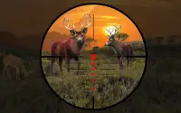 Deer Hunting Wild Animal Shooting Games 2021 Screen Shot 2