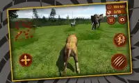 Jungle King: Real Lion Sim Screen Shot 1