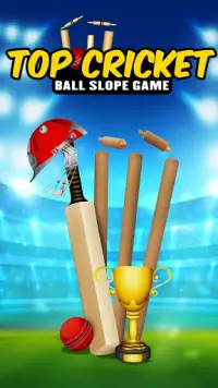 Top Cricket Ball Slope Game Screen Shot 0