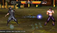 Ninja Deadly Kung Fu Fighting Tiger Game Screen Shot 6