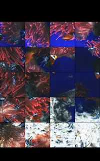 Awesome Aquarium Jigsaw Puzzle Game Screen Shot 1