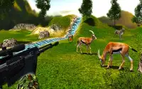 Frontier Deer Animal 2018 :Jungle Hunter Sniper Screen Shot 2