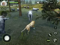 Wild Tiger Hunting Animal Life Screen Shot 8