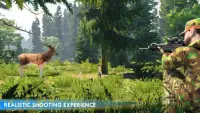 Hunting Games - Wild Animal Attack Simulator Screen Shot 5