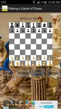 Professional Chess Screen Shot 1