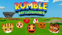 Rumble Battlegrounds : PVP Survival Battle Royale Screen Shot 7