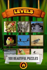 Birds Jigsaw Puzzle Screen Shot 1