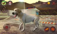 Simulateur du Labrador Screen Shot 3