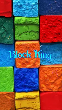 Block King Screen Shot 7