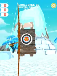 Archery Master Challenges Screen Shot 17